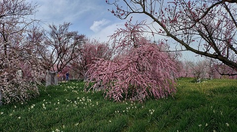 KIMG20260224_123928842