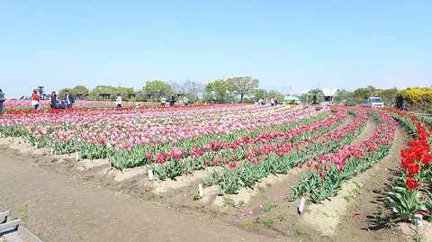 KIMG20260408_095730826