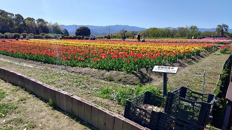 KIMG20260408_095447029