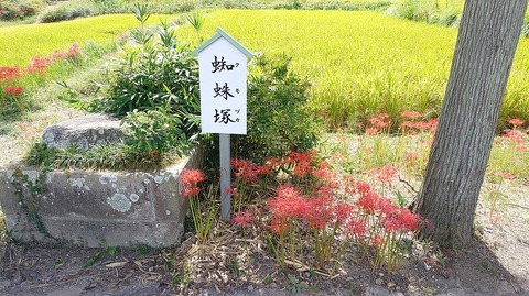 KIMG20251002_110826565