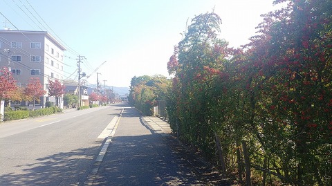 KIMG20251108_110021160