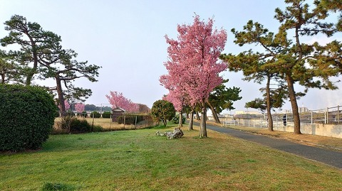 KIMG20260329_065924698