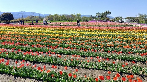 KIMG20260408_095512008