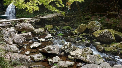 KIMG20260417_121710795