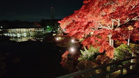 KIMG20251121_180130853