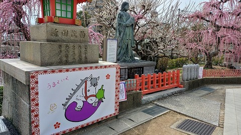 KIMG20260302_123559967