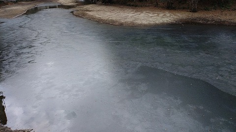 KIMG20260129_113306338