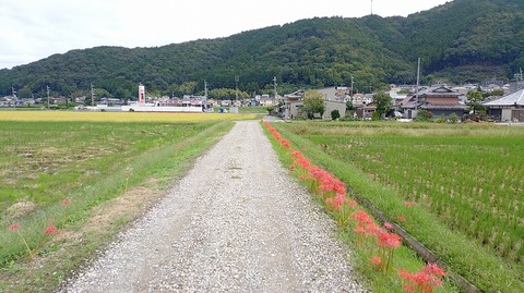 KIMG20260930_113341652
