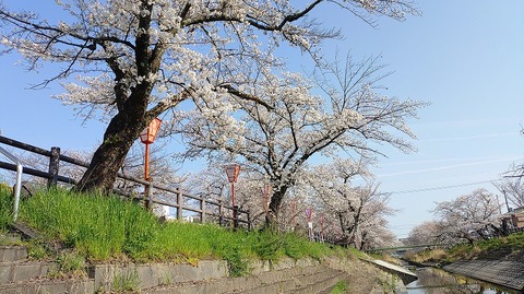 KIMG20260403_082702111