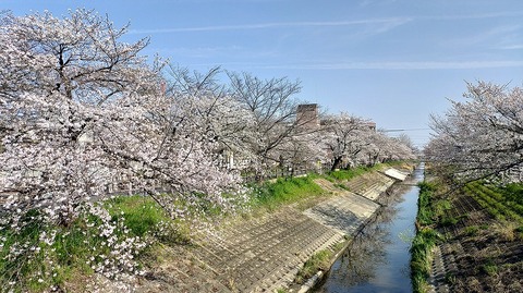 KIMG20260403_084355380