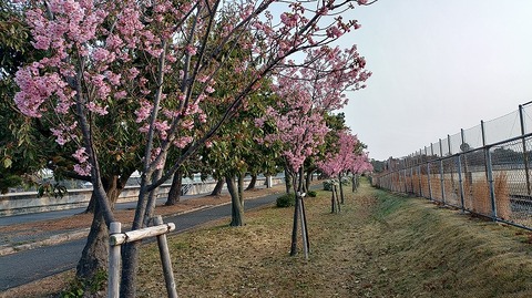 KIMG20260329_065544732