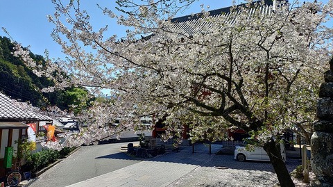 KIMG20260408_105605914