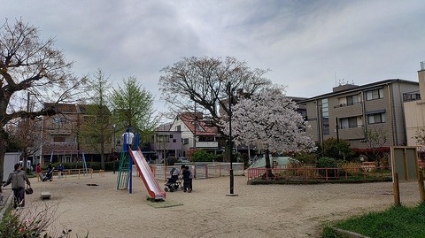 KIMG20260405_105549060