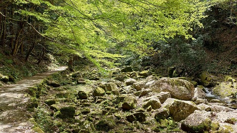 KIMG20260417_121128411