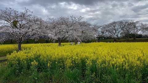 KIMG20260331_104152806