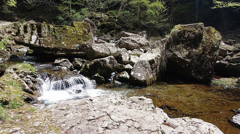 KIMG20260417_121306820