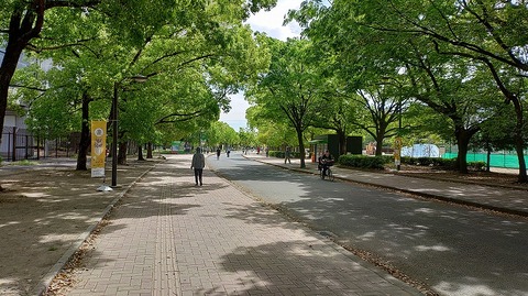 KIMG20260422_094251421