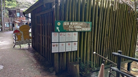 KIMG20260417_115245319