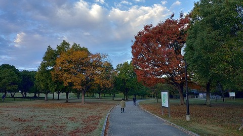 KIMG20251112_064331100