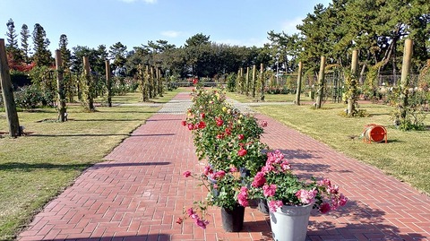 KIMG20251128_130930028