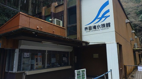 KIMG20260129_112307157