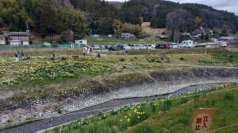 KIMG20260331_112530482