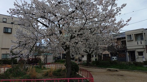 KIMG20260405_105527926