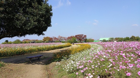 KIMG20251114_103448309