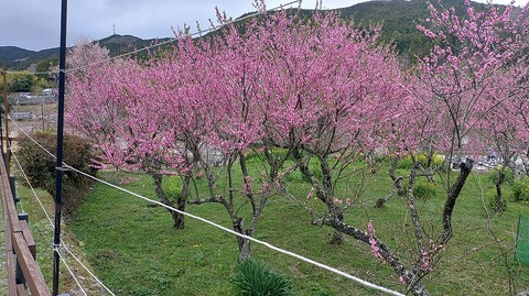 KIMG20260331_112836847