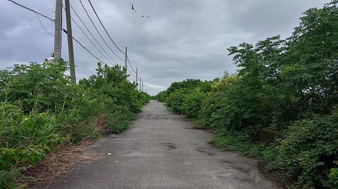 KIMG20260707_064103514