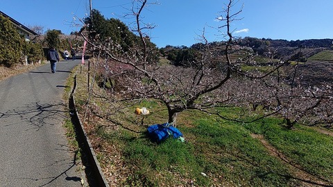 KIMG20260218_123932115