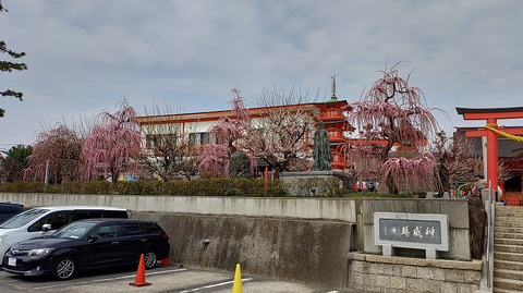 KIMG20260302_122235906