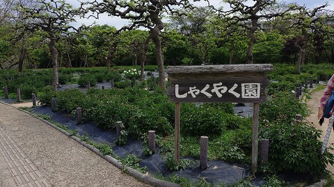 KIMG20260422_101822303