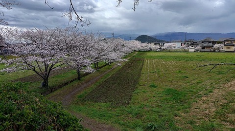 KIMG20260331_104756336