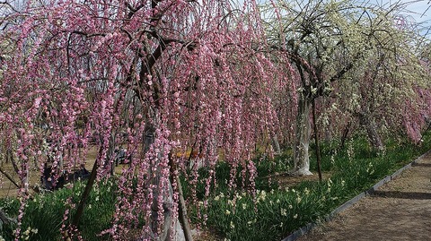 KIMG20260224_123539755