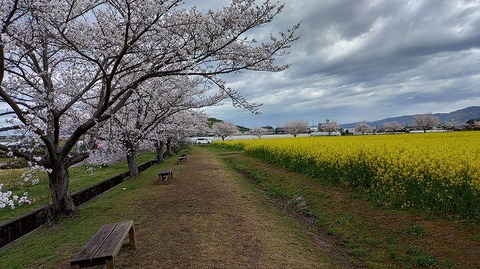 KIMG20260331_103808728