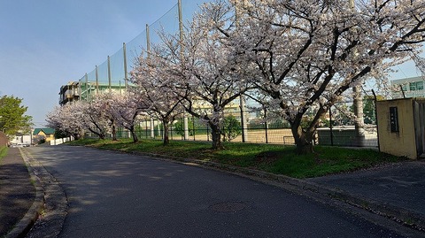 KIMG20260406_071637193