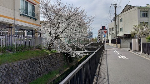 KIMG20260405_105815602