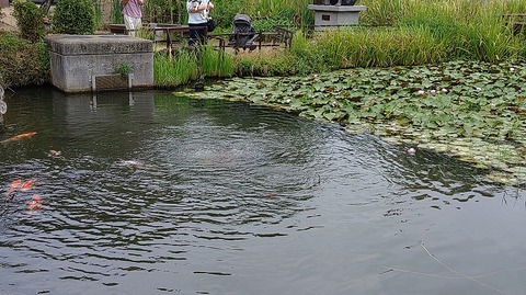 KIMG20250923_120049612