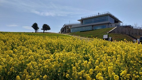 KIMG20260324_114919938