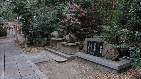 KIMG20260126_103242352