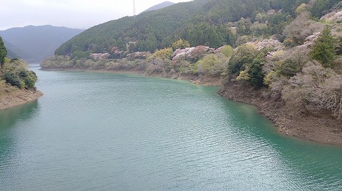 KIMG20260407_131407690