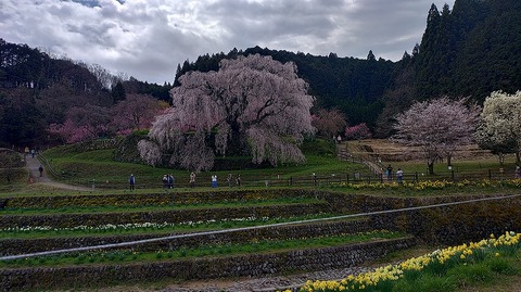 KIMG20260331_113515377