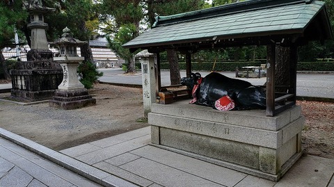 KIMG20250914_081950260