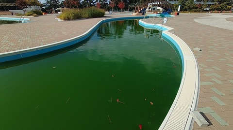 KIMG20251128_131741619