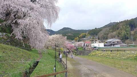 KIMG20260331_112657902