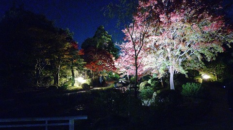 KIMG20251121_175621677