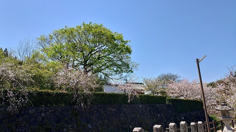 KIMG20260408_105334614