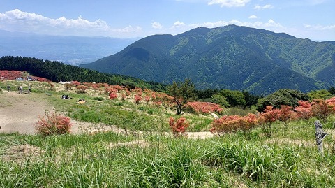 KIMG20260514_122031768