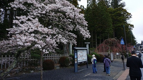 KIMG20260407_094217373